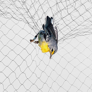 B•Tools Mist Net Mesh 30, 75D/2P, 12 x 2.5 m