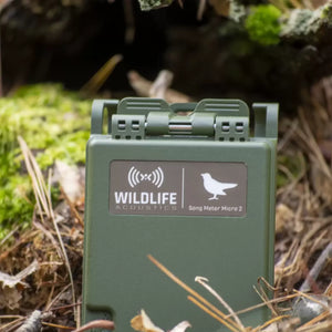 Bioacostic Recoder Wildlife Acoustics Song Meter Micro 2 Recorder ²⁶ - BIOWEB USA