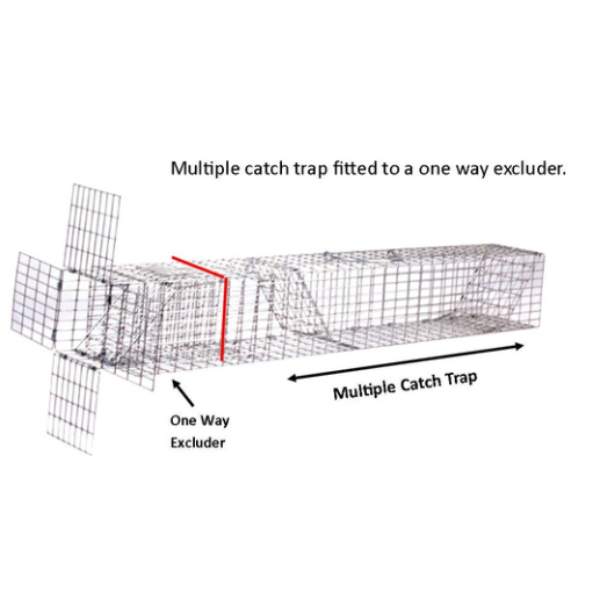 Squirrel Pack With Two Trap Doors