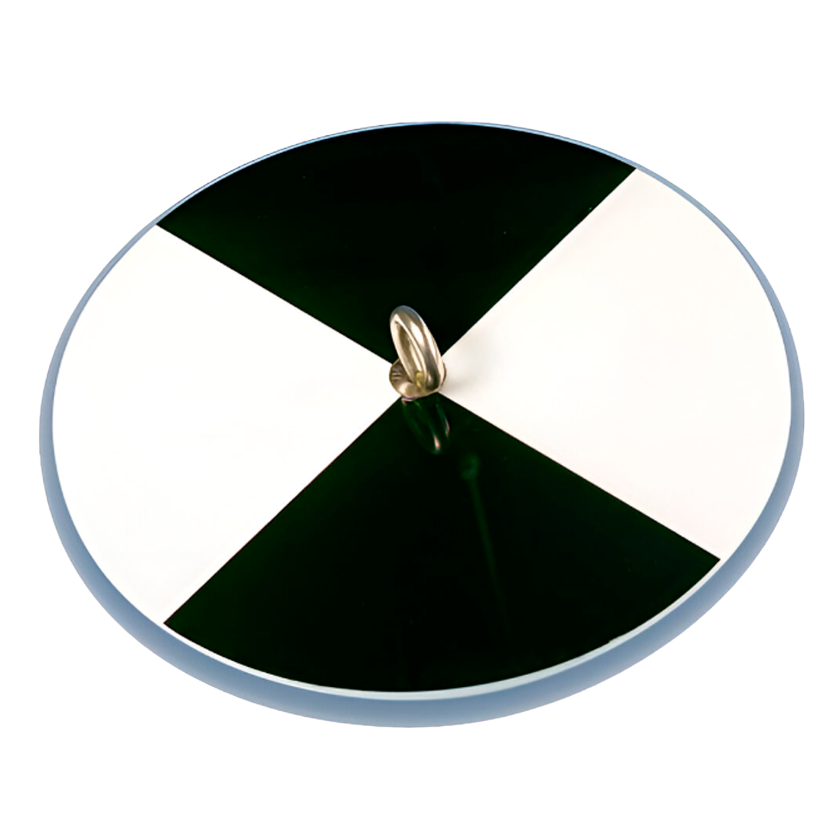Secchi Disks for Limnology