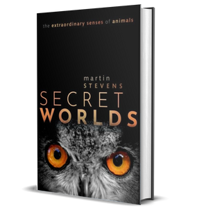 Secret Worlds: The extraordinary senses of animals