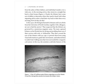 Secret Worlds: The extraordinary senses of animals