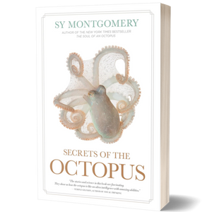 Secrets of the Octopus
