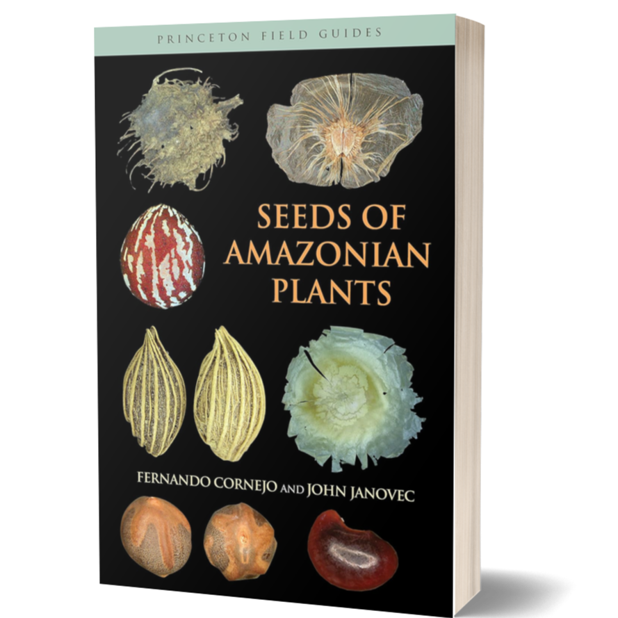 Seeds of Amazonian Plants
