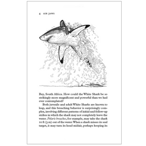 Sharkpedia A Brief Compendium of Shark Lore
