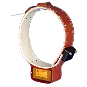 GPS and Iridium System