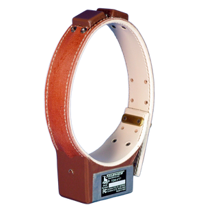 GPS and Iridium System