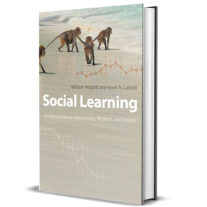 Aprendizaje social: una introducción a los mecanismos, métodos y modelos