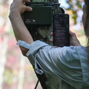 Song Meter Mini 2 AA Acoustic Recorder with Built-In IP67 Microphone and up to 530 Hours Recording Time