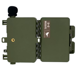 Song Meter Mini 2 AA Acoustic Recorder with Built-In IP67 Microphone and up to 530 Hours Recording Time