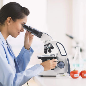 Swift Microscopes Serie SW380 40X-2500X