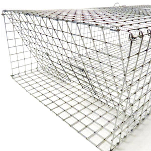 Tomahawk Collapsible Pigeon Trap with Two Trap Doors