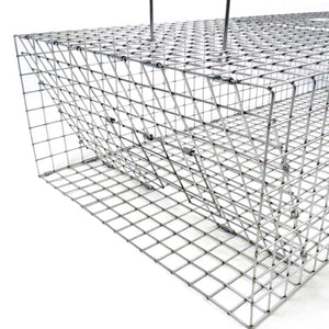 Tomahawk Collapsible Pigeon Trap with Two Trap Doors