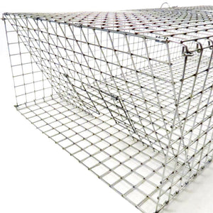 Tomahawk Collapsible Pigeon Trap with Two Trap Doors