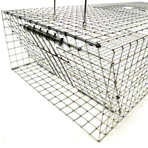 Tomahawk Collapsible Pigeon Trap with Two Trap Doors