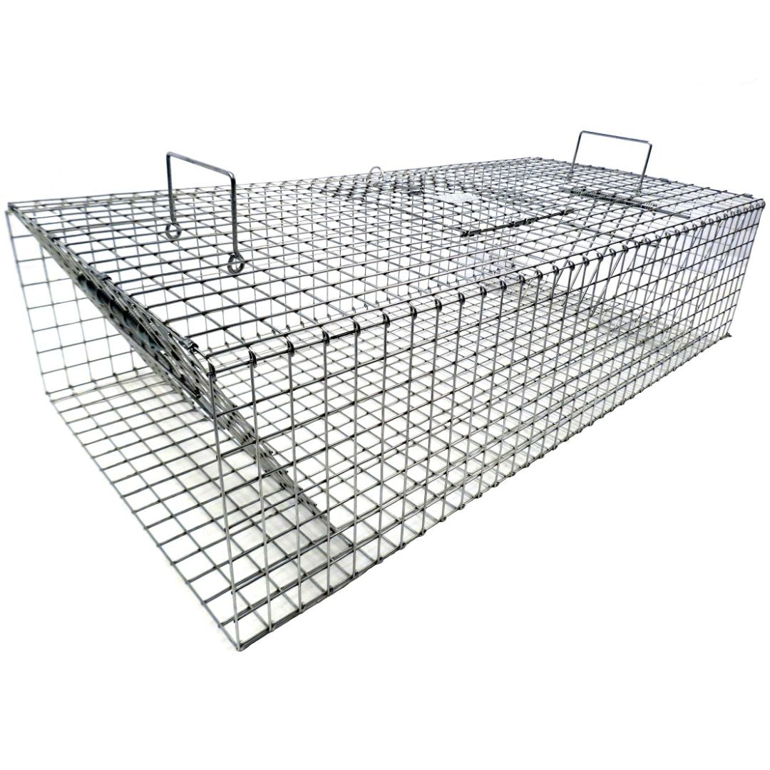 Tomahawk Collapsible Pigeon Trap with Two Trap Doors