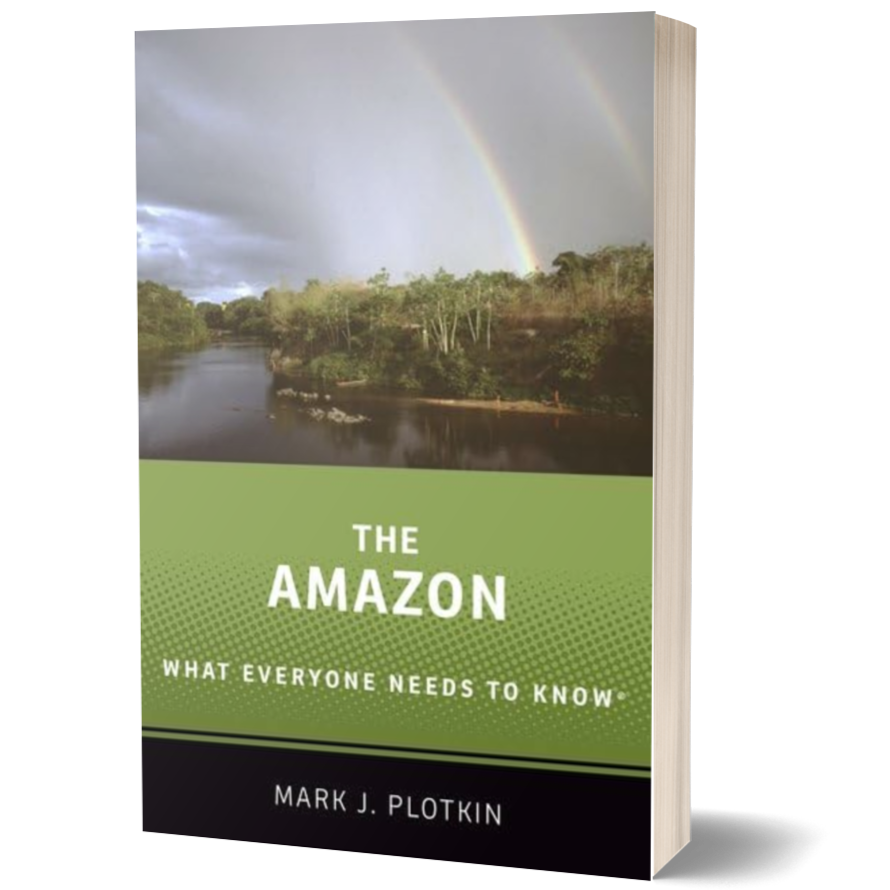 The Amazon: What Everyone Needs to Know