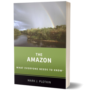 The Amazon: What Everyone Needs to Know