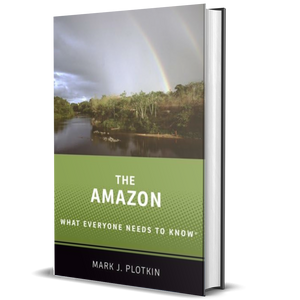 The Amazon: What Everyone Needs to Know