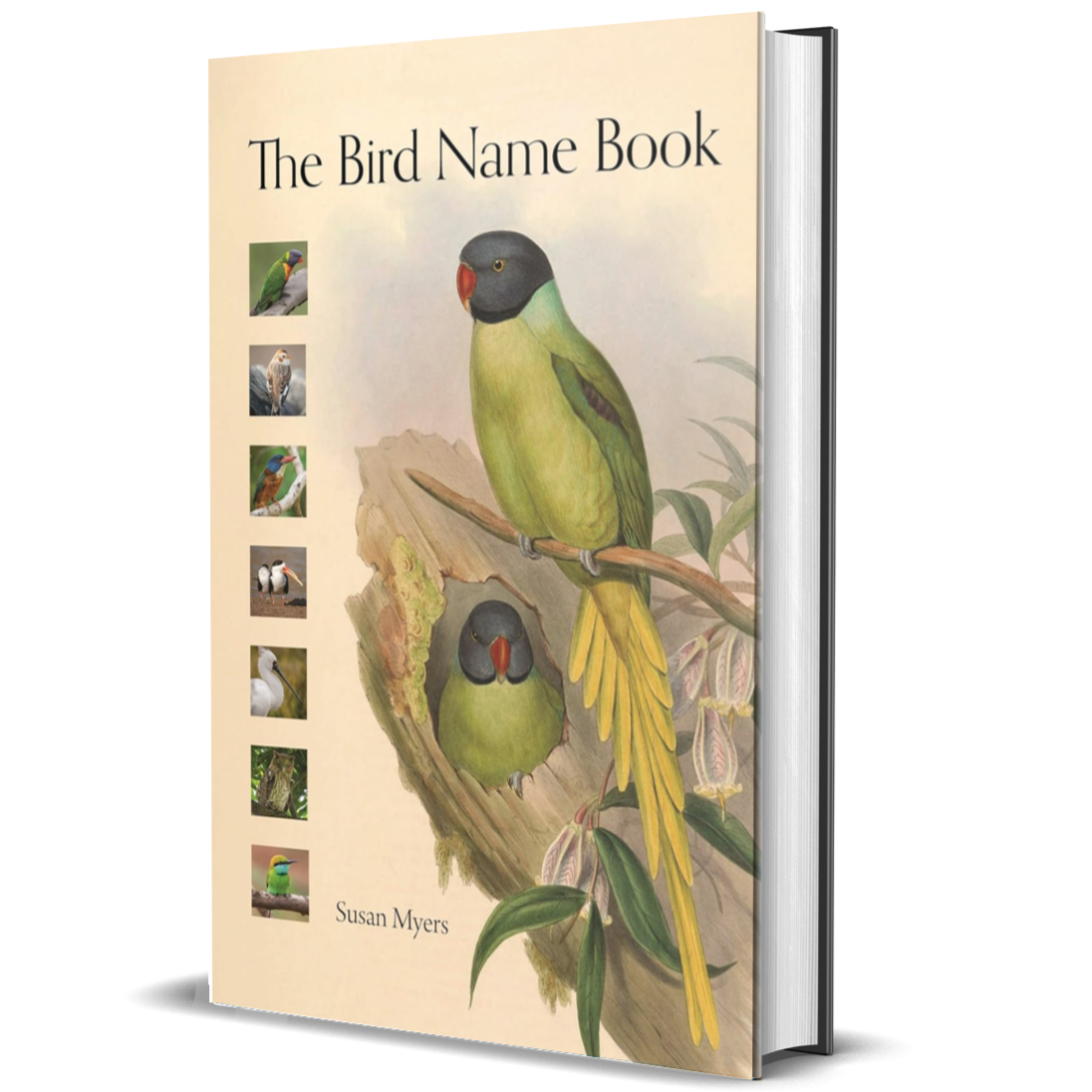 The Bird Name Book