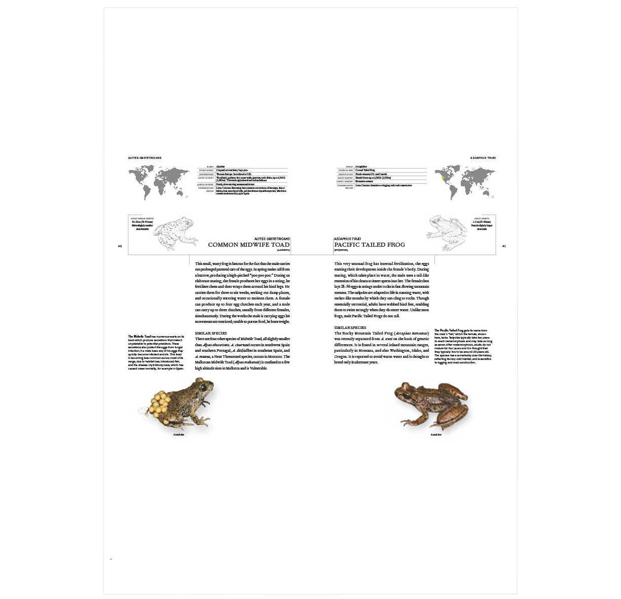 The Book of Frogs: A Life-Size Guide to Six Hundred Species from aroun ...