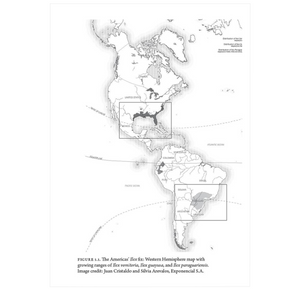 The Book of Yerba Mate: A Stimulating History