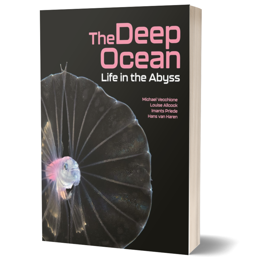 The Deep Ocean: Life in the Abyss
