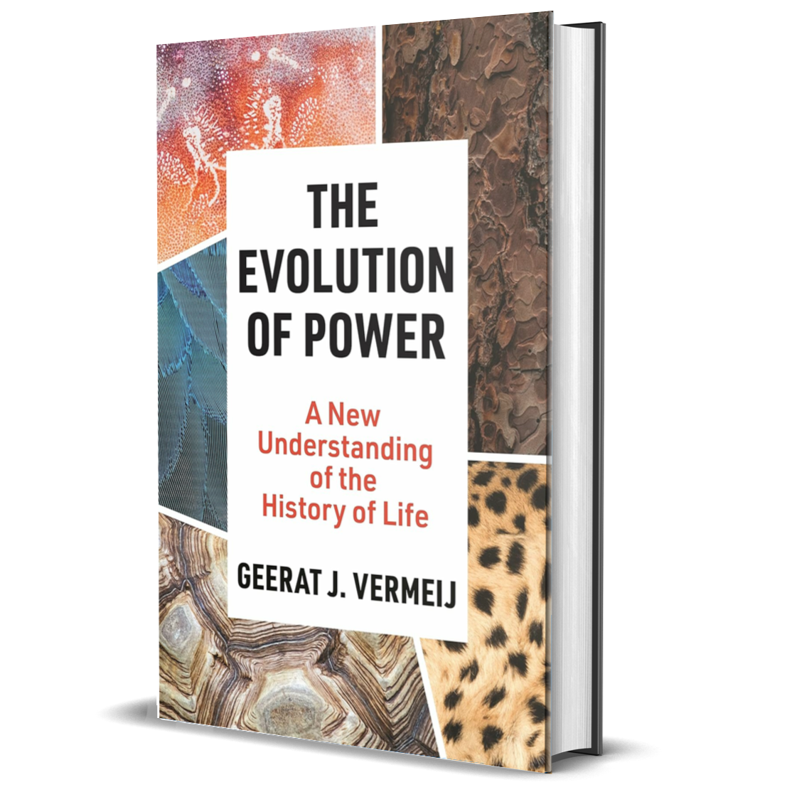 The Evolution Of Power A New Understanding Of The History Of Life The evolution of power a new understanding of the history of life