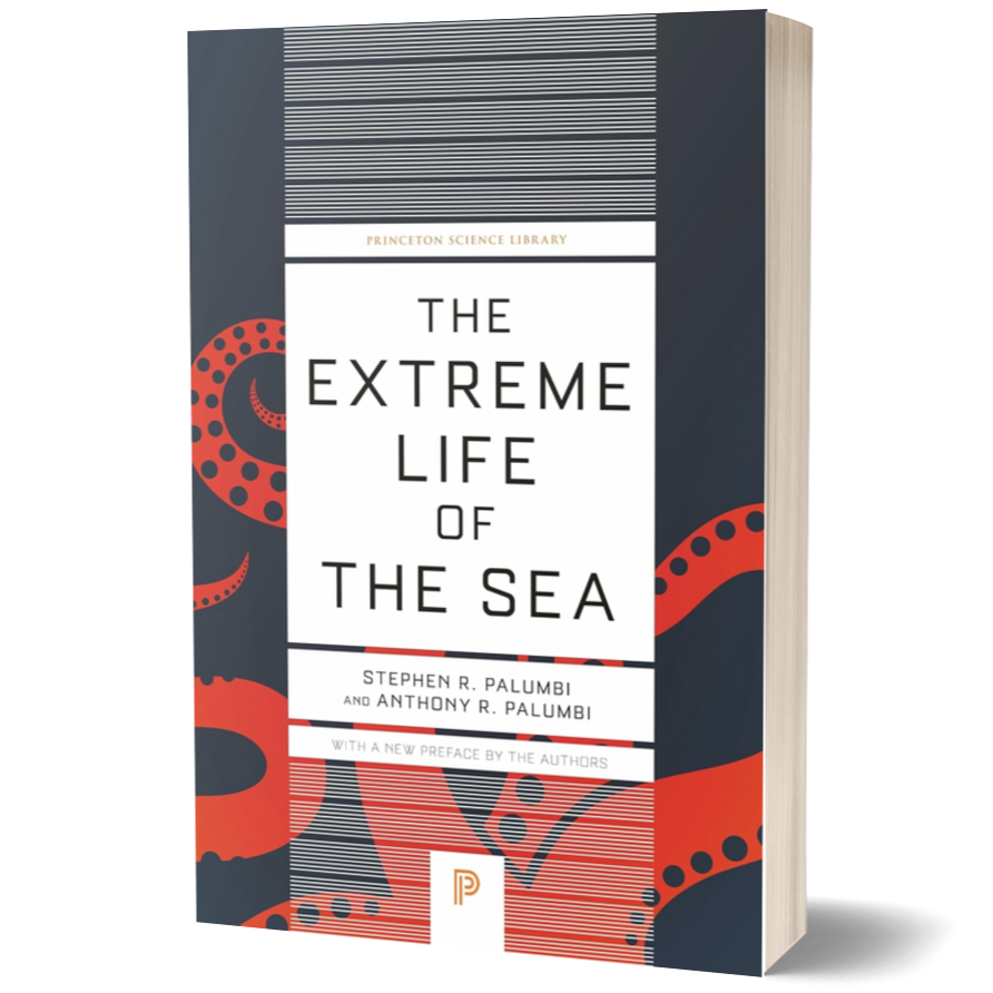 The Extreme Life of the Sea