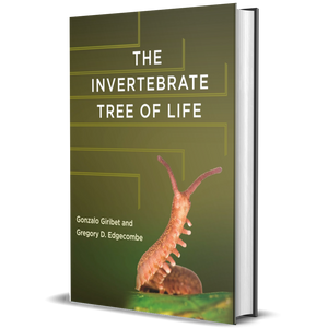 The Invertebrate Tree of Life
