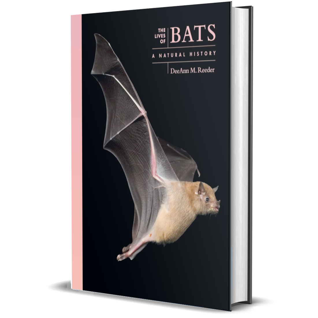 The Lives of Bats: A Natural History