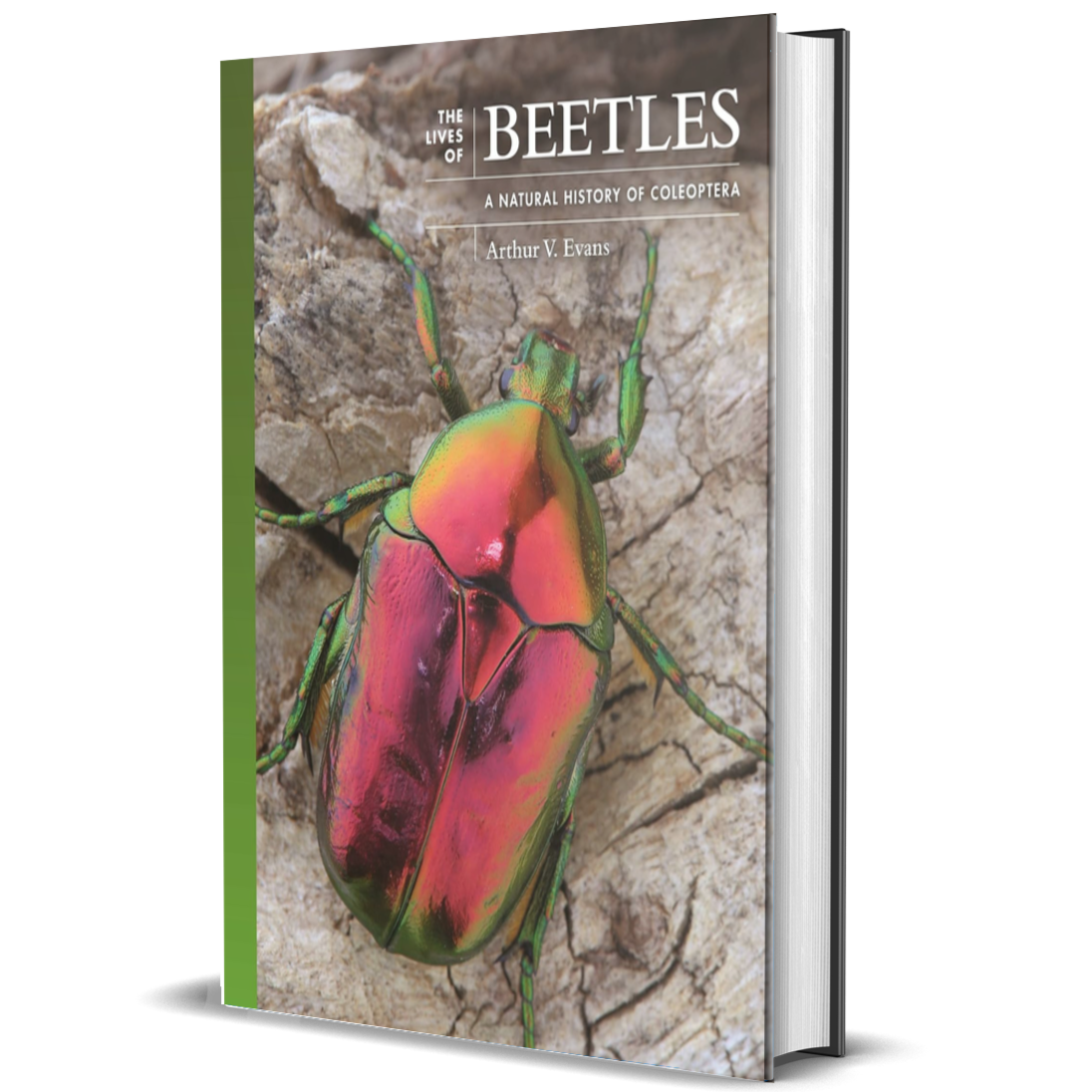 The Lives of Beetles: A Natural History of Coleoptera