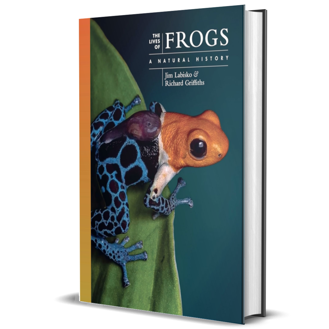 The Lives of Frogs: A Natural History