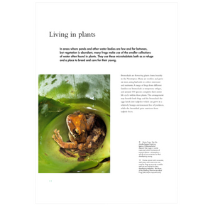 The Lives of Frogs: A Natural History