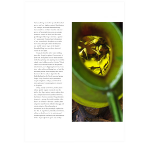 The Lives of Frogs: A Natural History