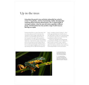 The Lives of Frogs: A Natural History