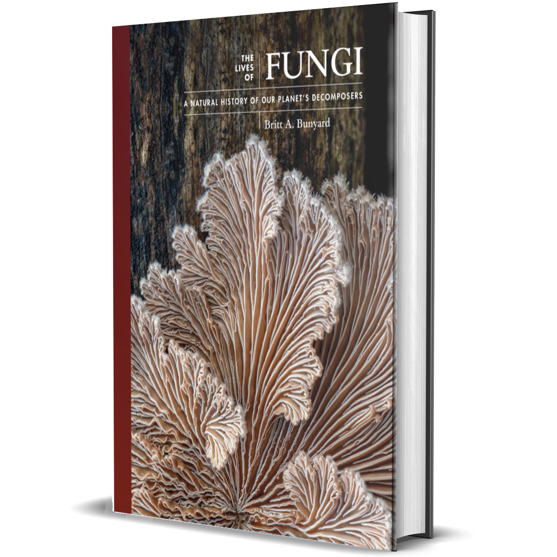 The Lives of Fungi: A Natural History of Our Planet's Decomposers