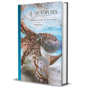 The Lives of Octopuses and Their Relatives: A Natural History of Cephalopods