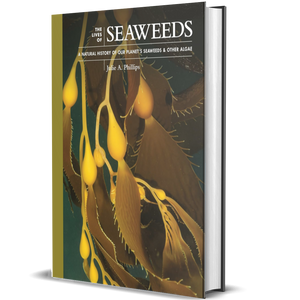 The Lives of Seaweeds: A Natural History of Our Planet's Seaweeds and Other Algae