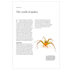 The Lives of Spiders: A Natural History of the World's Spiders