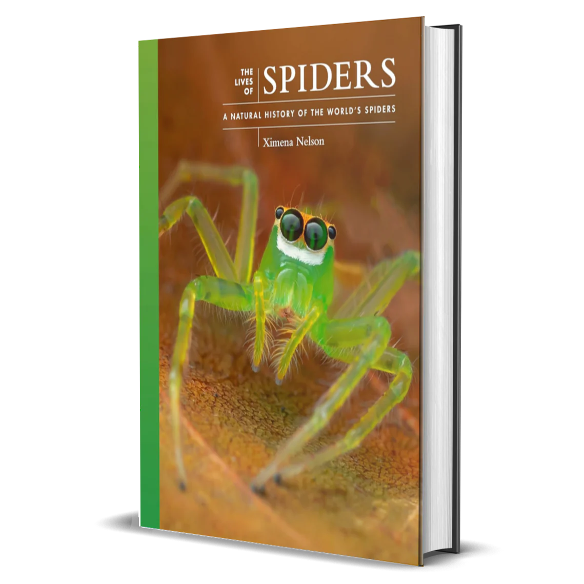 The Lives of Spiders: A Natural History of the World's Spiders