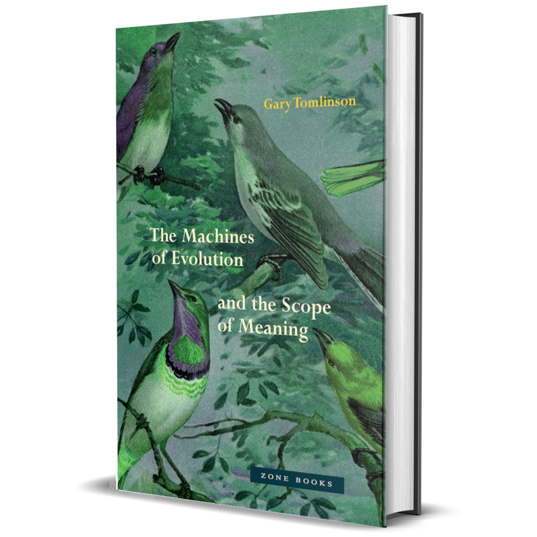 The Machines of Evolution and the Scope of Meaning BIOWEB Global