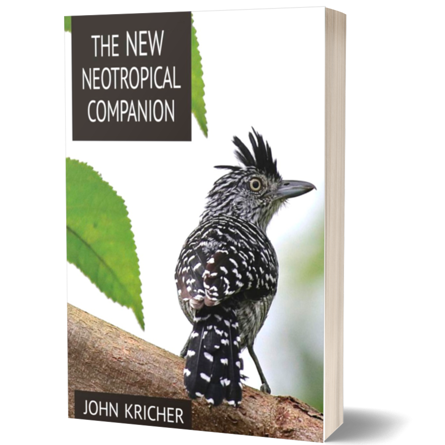 The New Neotropical Companion