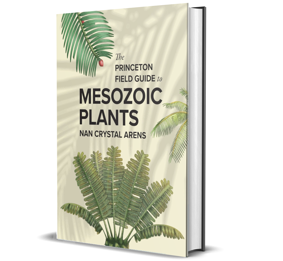 The Princeton Field Guide to Mesozoic Plants