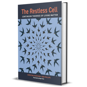 The Restless Cell: Continuum Theories of Living Matter