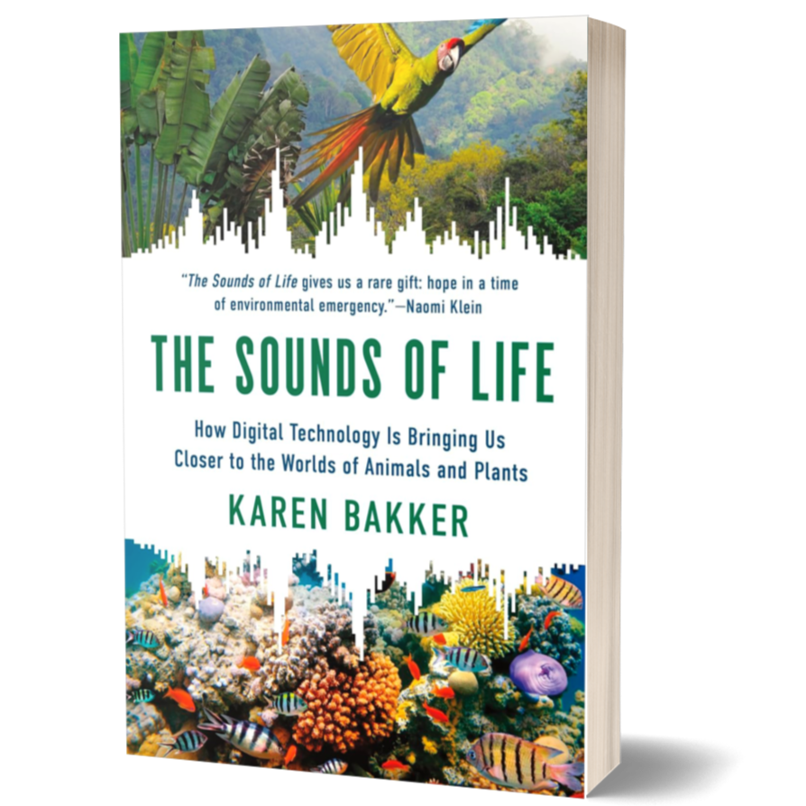 The Sounds of Life: How Digital Technology Is Bringing Us Closer to the Worlds of Animals and Plants Paperback – March 12, 2024