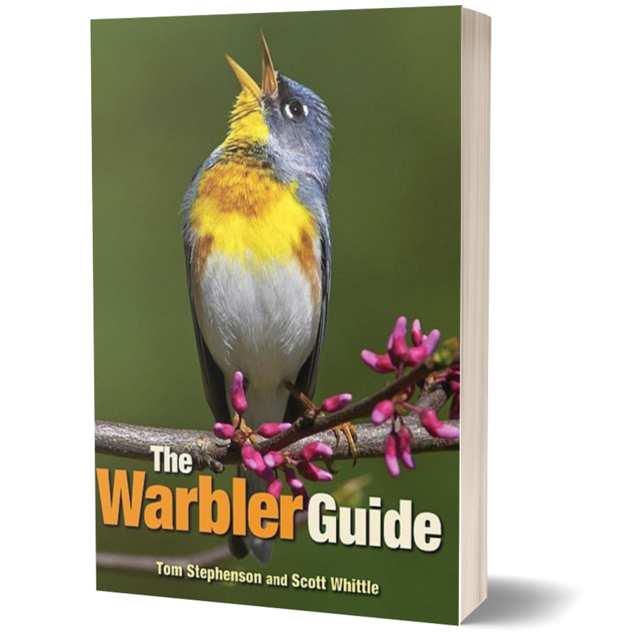 The Warbler Guide