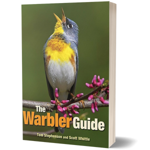 The Warbler Guide