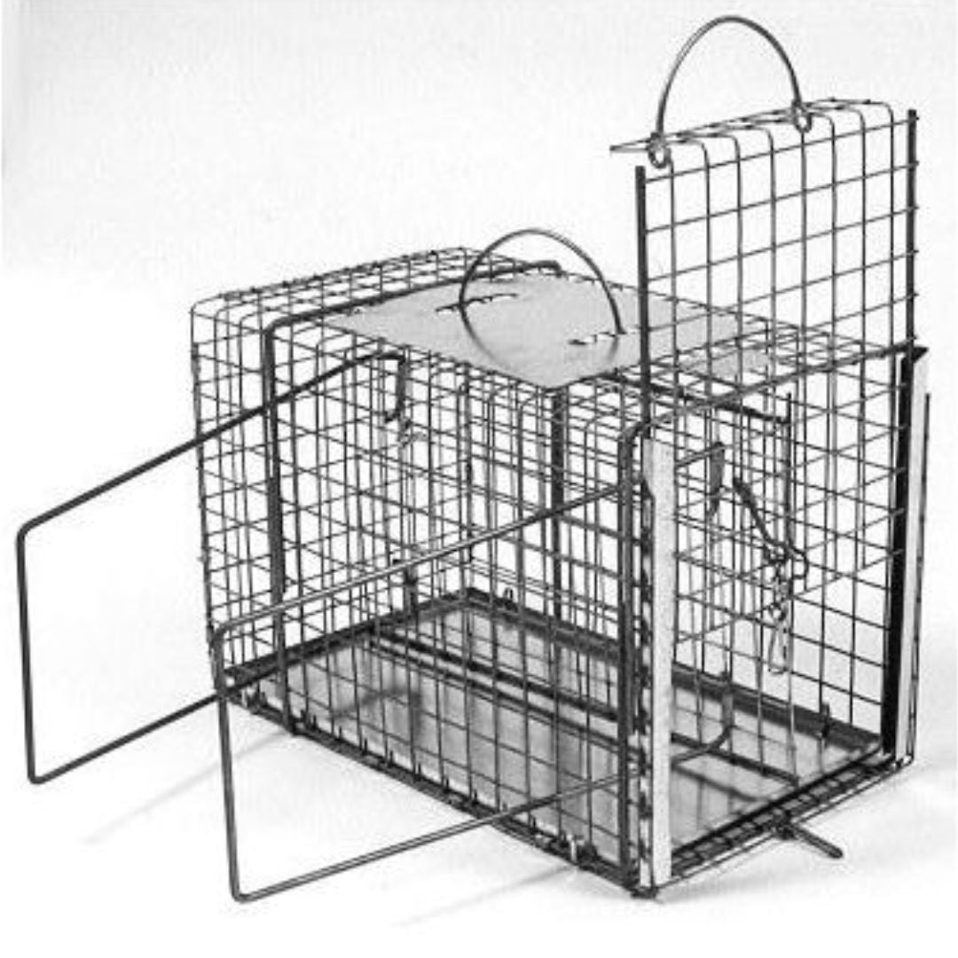 Tomahawk Squeeze Cages ²⁶ - BIOWEB USA