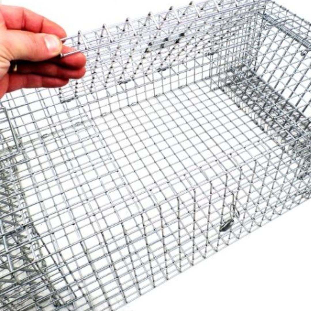Tomahawk Repeating Reptile Traps ²⁶ - BIOWEB USA
